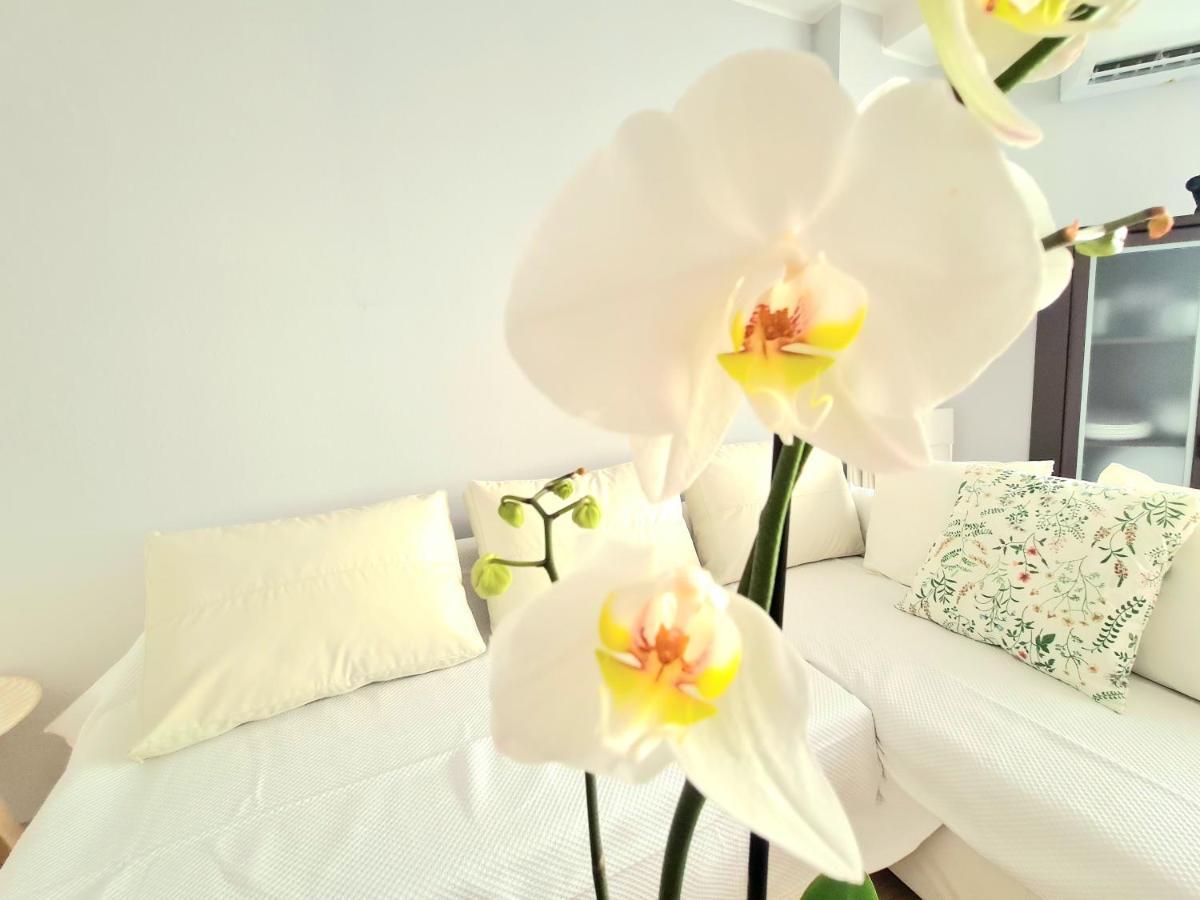 Aa Guest - El Mono De Torre Del Mar Eco Apartment Kültér fotó