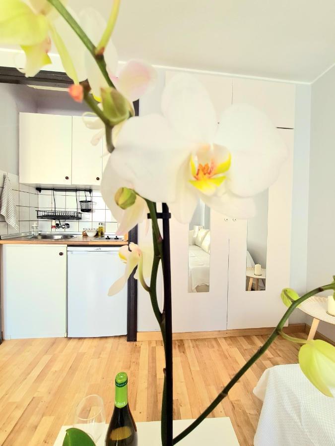 Aa Guest - El Mono De Torre Del Mar Eco Apartment Kültér fotó