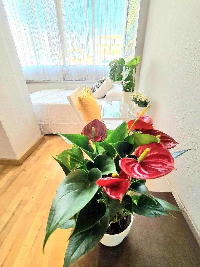 Aa Guest - El Mono De Torre Del Mar Eco Apartment Kültér fotó